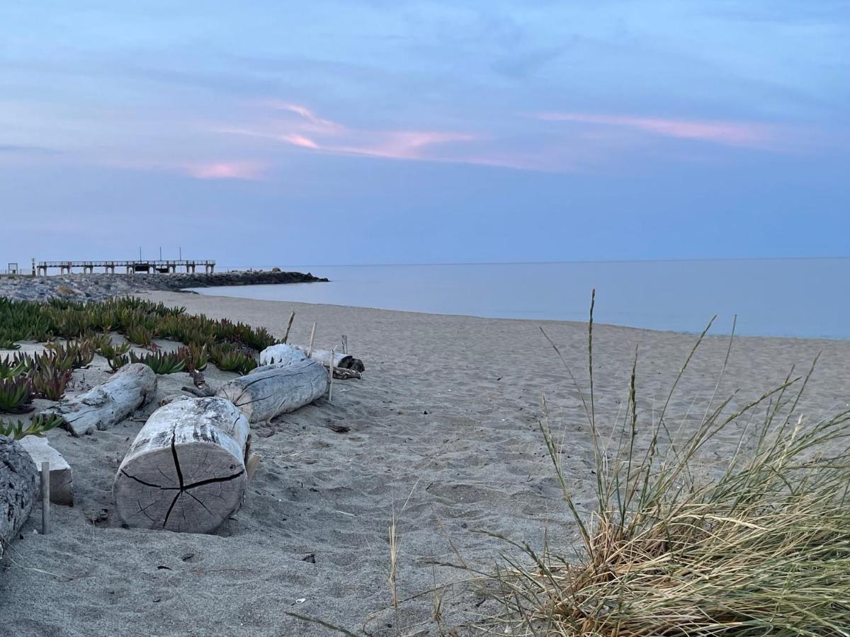 Ferienhaus In Residence Naturiste Direkt Am Strand Leucate Exterior foto
